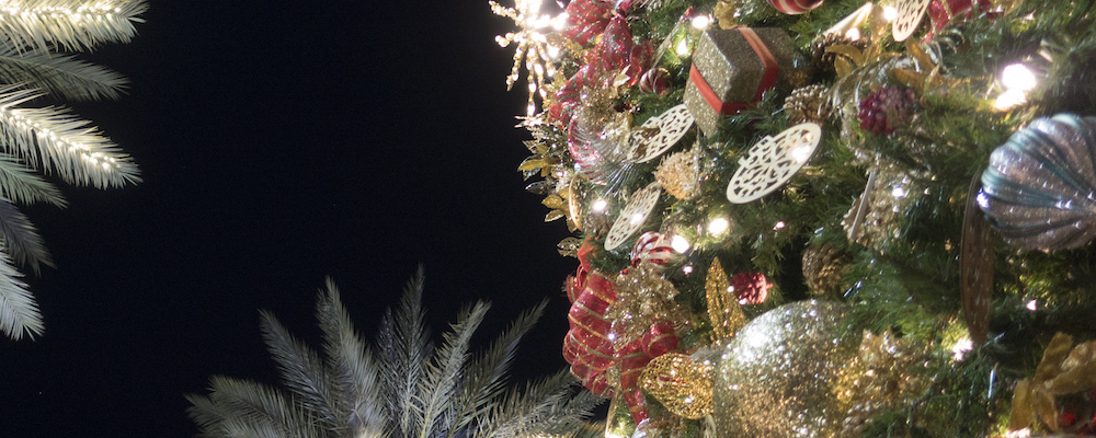 Image of decorated tree for the holidays